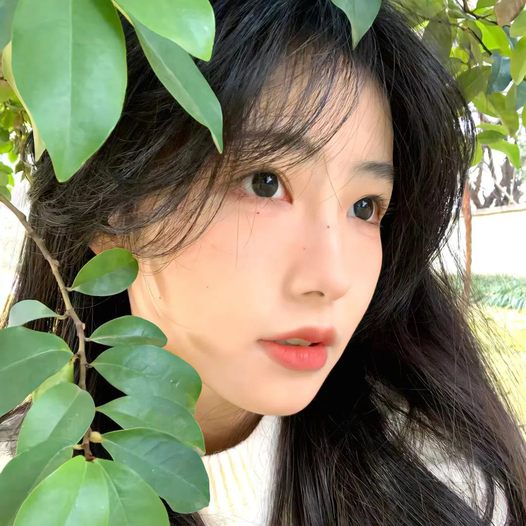 好莱坞真情告白