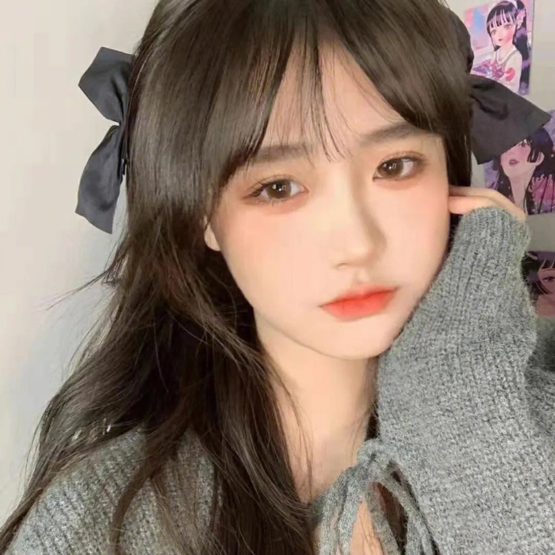 伊利诺斯州的林肯